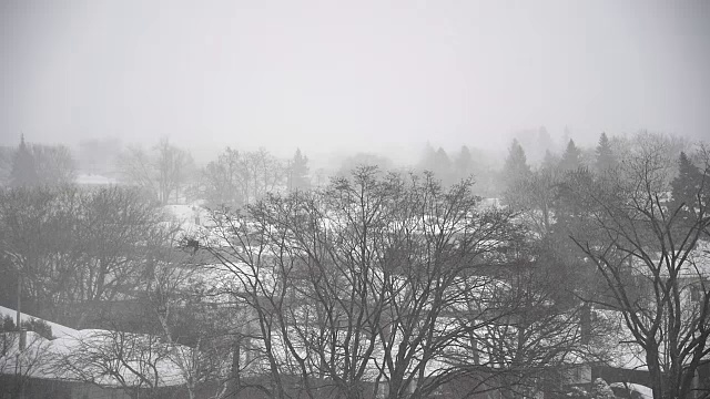 加拿大多伦多市冬季暴风雪伴暴雪视频素材