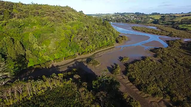 鸟瞰图大仓丛林风景保护区与Rangitoto岛在背景。视频下载