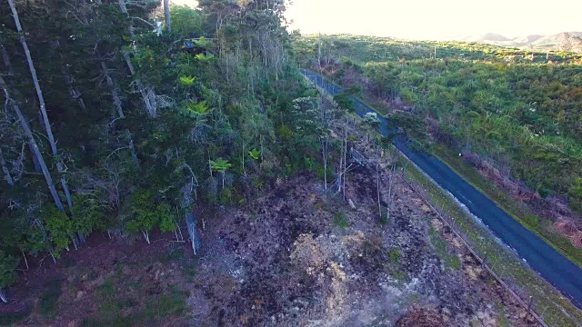 鸟瞰大仓丛林风景保护区在日落，奥克兰。视频下载