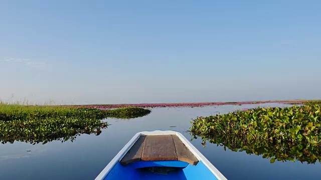 在泰国乌东他尼省的粉红色莲花湖乘船游览。视频素材