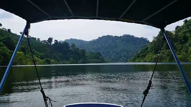 蚕茧的构造。视频素材