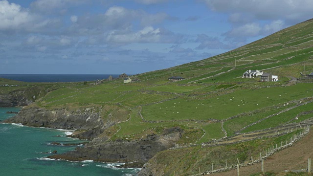 WS PAN L Slea Head Drive, Dingle Peninsula，崎岖的海岸线，爱尔兰乡村，绿色牧场上的羊群，云雾视频素材