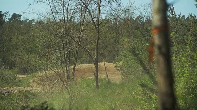 越野摩托车骑手进行跳高视频素材