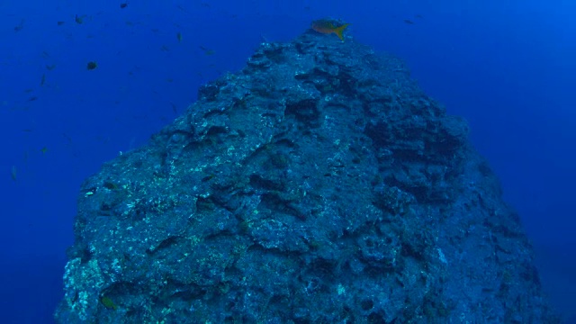 海底顶峰视频素材