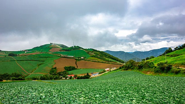 安bandeok村(韩国著名景点)韩国大白菜田的黎明景象视频素材