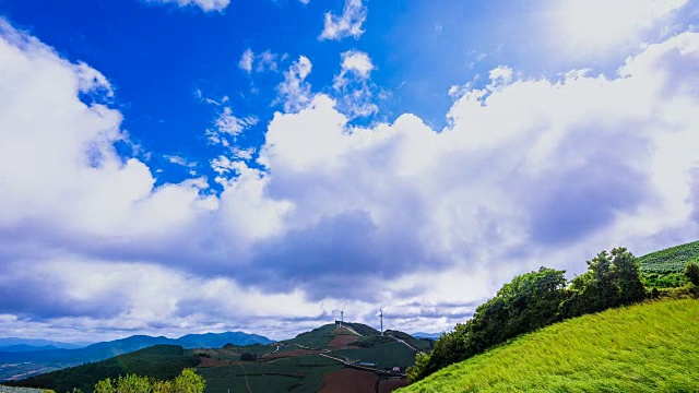 安bandeok(高海拔凉爽地区)村(韩国著名景点)种植的韩国大白菜视频素材