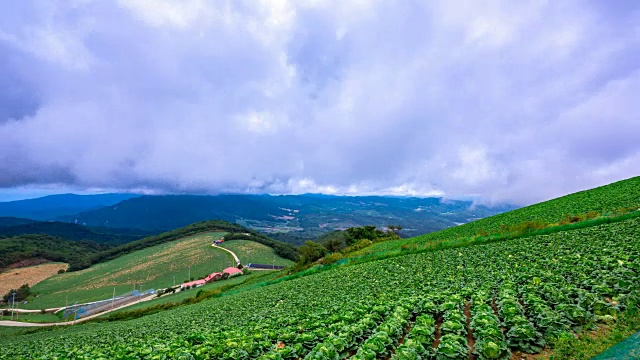 安bandeok村(韩国著名景点)韩国大白菜田的黎明景象视频素材