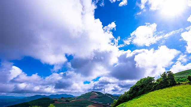 安bandeok(高海拔凉爽地区)村(韩国著名景点)种植的韩国大白菜视频素材