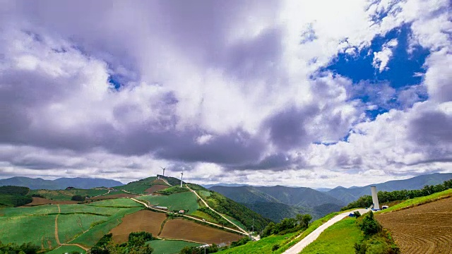 安bandeok(高海拔凉爽地区)村(韩国著名景点)种植的韩国大白菜视频素材