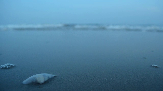 海视频下载