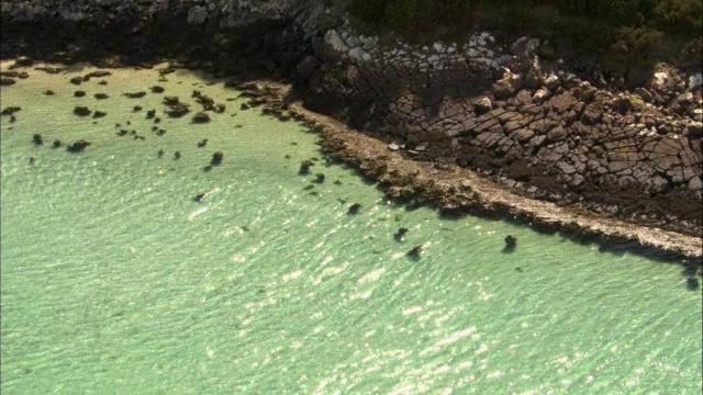 英国苏格兰的岩石海岸上空视频素材