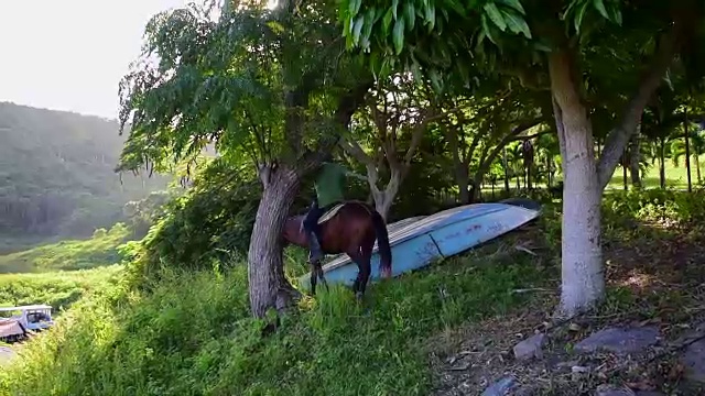 在哈纳巴尼拉湖或大坝附近骑马的农民。该地区是古巴用于生态旅游的自然保护区视频素材