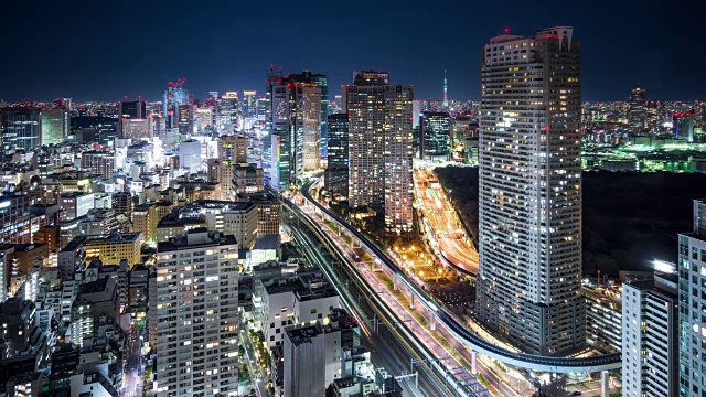 T/L WS HA View of Tokyo Skyline /东京，日本视频素材