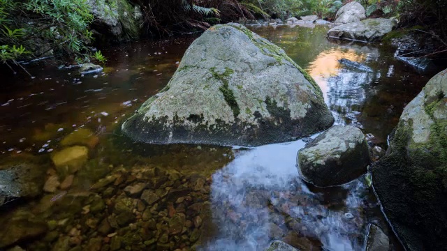 WS T/L拍摄的水流过岩石在河溪/格雷顿，西开普，南非视频素材