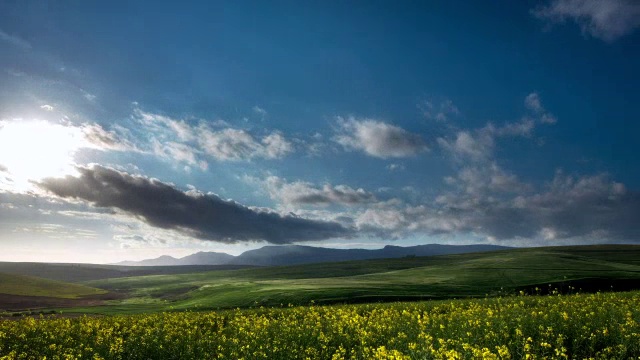 WS T/L风暴云掠过小麦和油菜田/ Caledon，西开普敦，南非视频素材