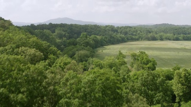 WS AERIAL POV Conasauga河穿过林地，背景是山脉/ Resaca，戈登县，美国乔治亚州视频素材