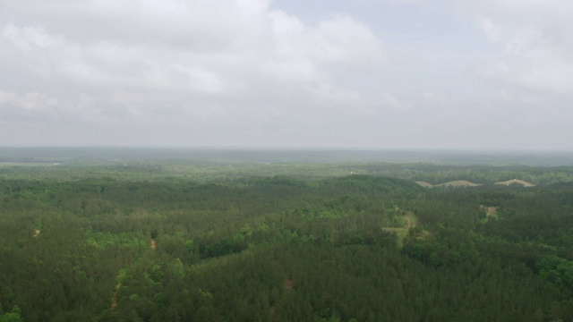 广泛的森林地区/戈登县，默里县，美国乔治亚州视频素材