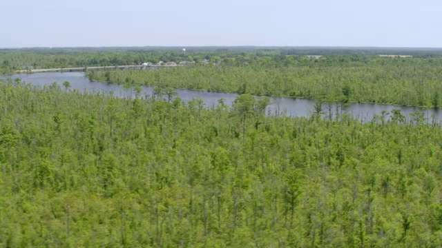 WS AERIAL POV斯库伯农河穿过森林地区/华盛顿县，北卡罗来纳州，美国视频素材