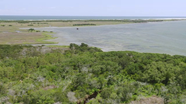 WS AERIAL POV海景，前景中有树/ Ocracoke，北卡罗来纳州，美国视频素材