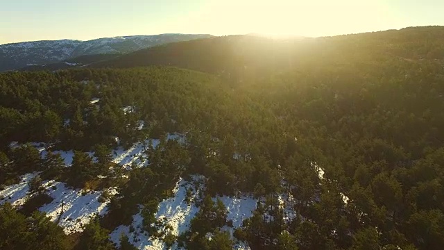 航拍镜头与无人机飞过美丽的比利牛斯山在冬季与雪和美丽的松树森林在日落的光。4 k UHD。视频素材