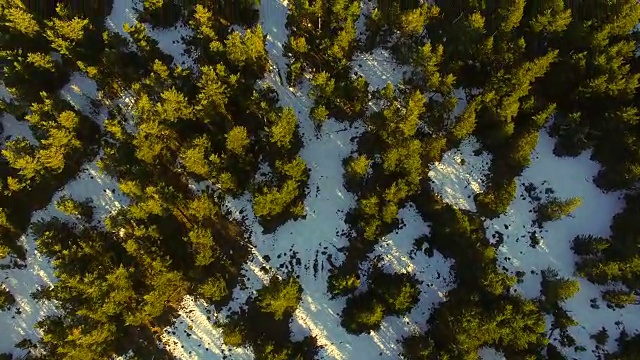 航拍镜头与无人机飞过美丽的比利牛斯山在冬季与雪和美丽的松树森林在日落的光。4 k UHD。视频素材