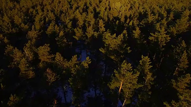 航拍镜头与无人机飞过美丽的比利牛斯山在冬季与雪和美丽的松树森林在日落的光。4 k UHD。视频素材