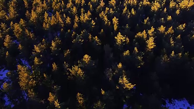 航拍镜头与无人机飞过美丽的比利牛斯山在冬季与雪和美丽的松树森林在日落的光。4 k UHD。视频素材