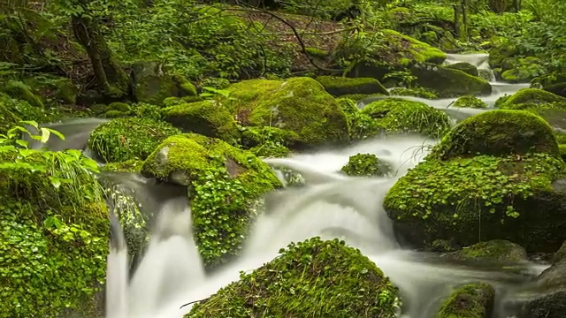 荣峪Sangdong Moss Valley(著名旅游景点)视频素材