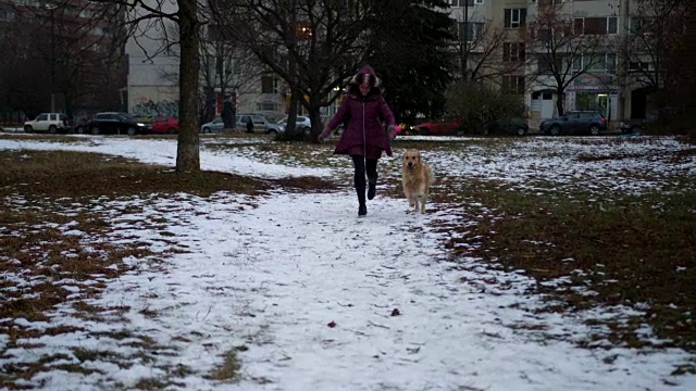 可爱的女孩和她的金毛猎犬在公园里奔跑视频素材