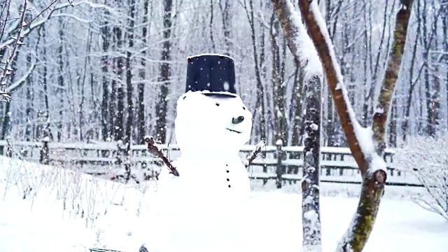 雪人在后院下着冬天的雪视频素材