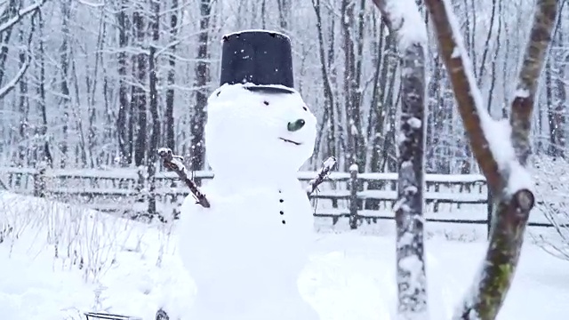 雪人在后院下着冬天的雪视频下载