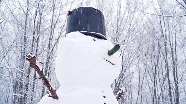 雪人在后院下着冬天的雪视频素材