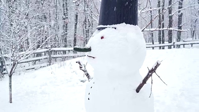 雪人在后院下着冬天的雪视频下载