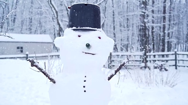 雪人在后院下着冬天的雪视频素材