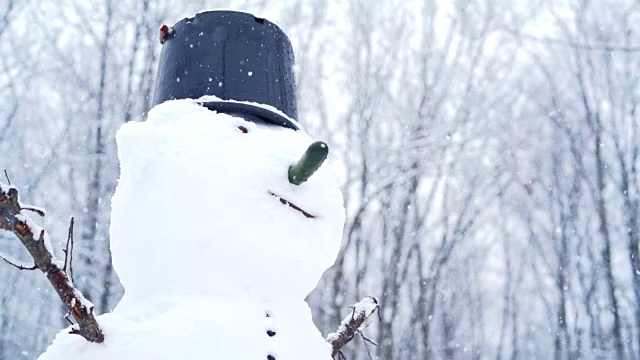 雪人在后院下着冬天的雪视频素材