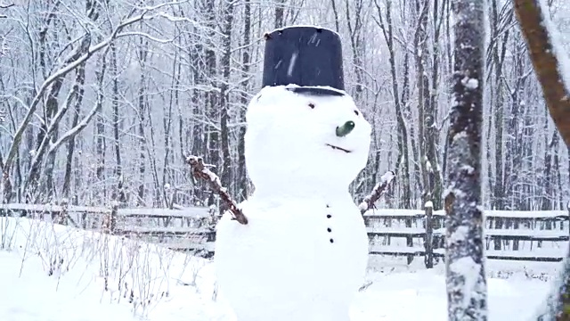 雪人在后院下着冬天的雪视频素材