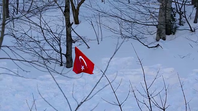 土耳其国旗和雪视频素材