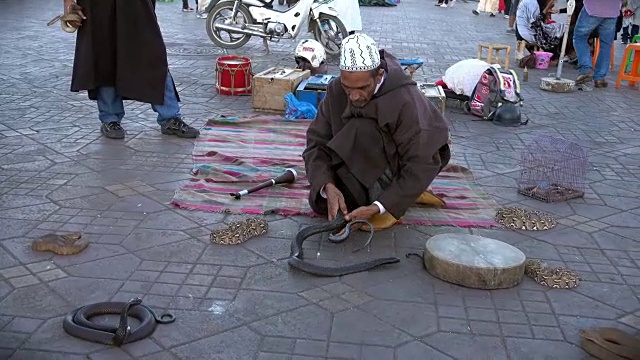 耍蛇人戏弄眼镜蛇视频素材