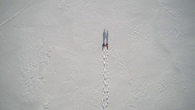 鸟瞰图家庭雪鞋户外在冬天视频素材