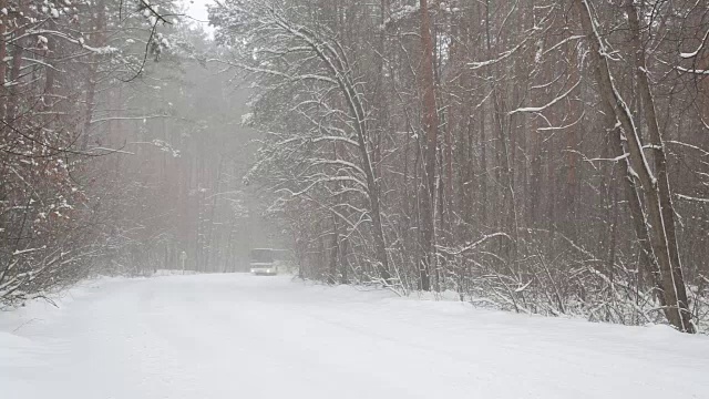 通勤巴士在暴风雪中沿着森林道路行驶。视频素材