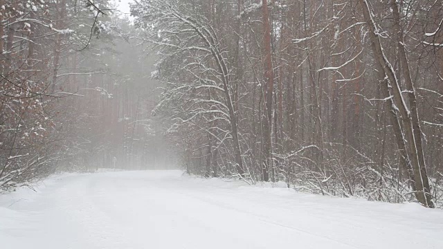 暴风雪中森林道路上的汽车。视频素材