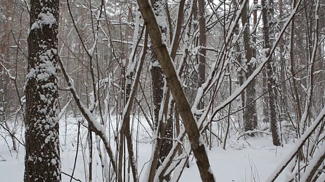 在森林里，汽车在积雪覆盖的路上行驶。视频素材