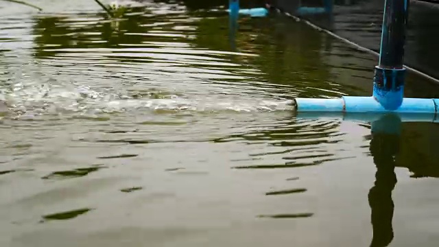 池塘里的含氧水视频素材