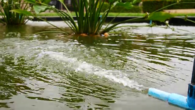 池塘里的含氧水视频素材