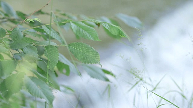 水在平坦的岩石上流动视频素材