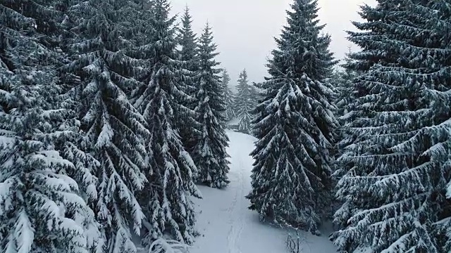 冬天的山视频素材