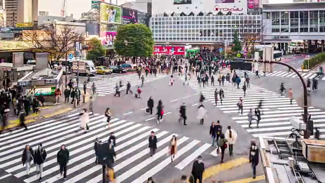 T/L WS HA PAN涩谷十字路口/东京，日本视频素材