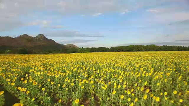 鸟瞰图在wat khao jeen lae，华富里，泰国视频素材