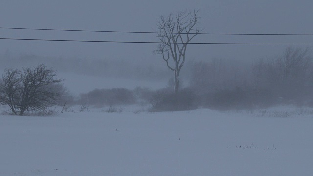 极端的暴风雪，大雪，危险的旅行条件视频素材