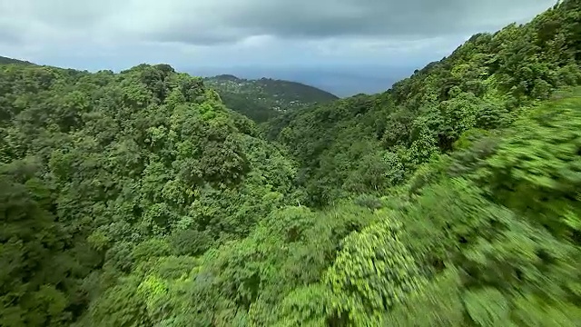 多米尼加的热带雨林和维多利亚瀑布视频素材